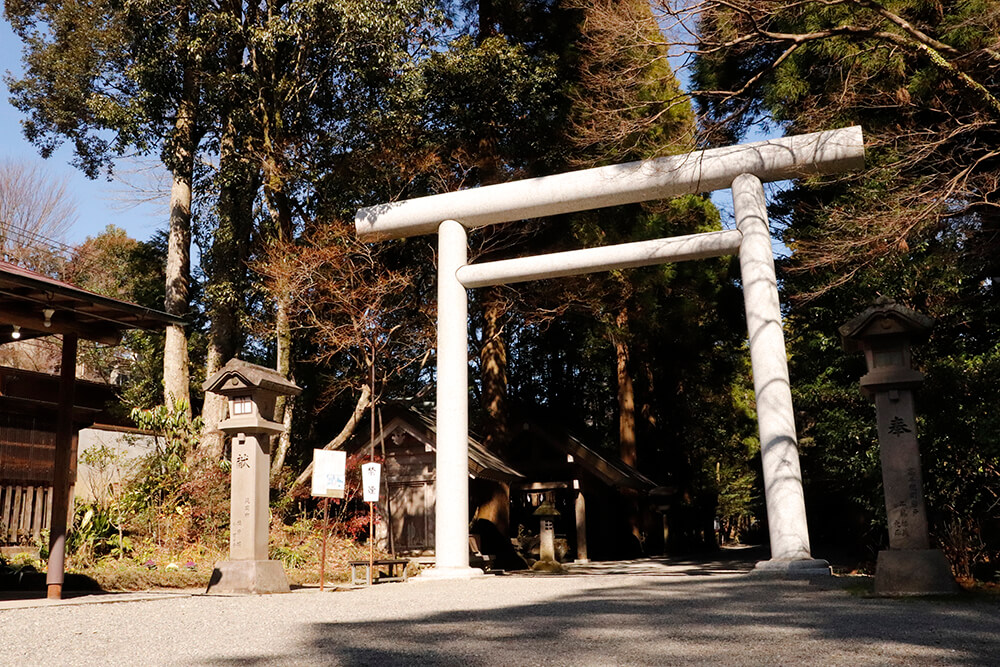 岩戸神社の鳥居をくぐる